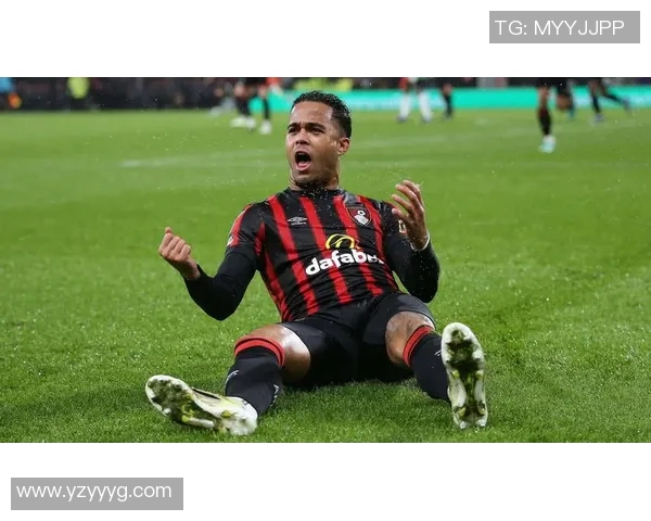 伯恩茅斯与哈德斯联赛精彩对决直播全程回顾与分析