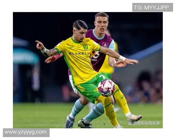 诺维奇主场迎战米尔沃尔双方争夺英冠积分榜关键战役