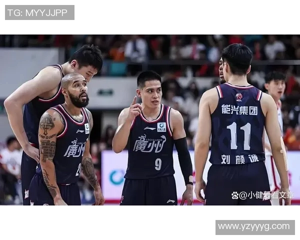 辽宁对阵广厦苏群解读比赛关键因素与球队表现分析