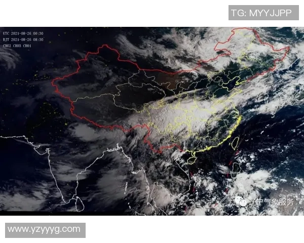 飞马与太阳的主场之争谁能占据优势解析与展望